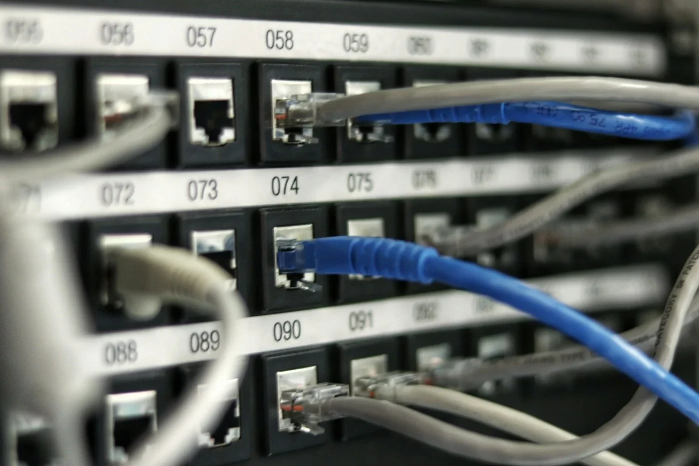 Netzwerktechnik mit angeschlossenen Datenkabeln für zuverlässiges Hosting